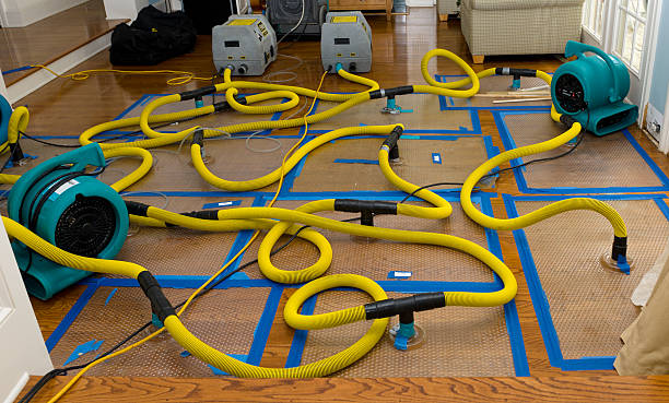 Professional Basement Flood Cleanup technician working in Westlake, LA
